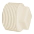 Plug C/Rosca Amanco 1/2 10202/11763