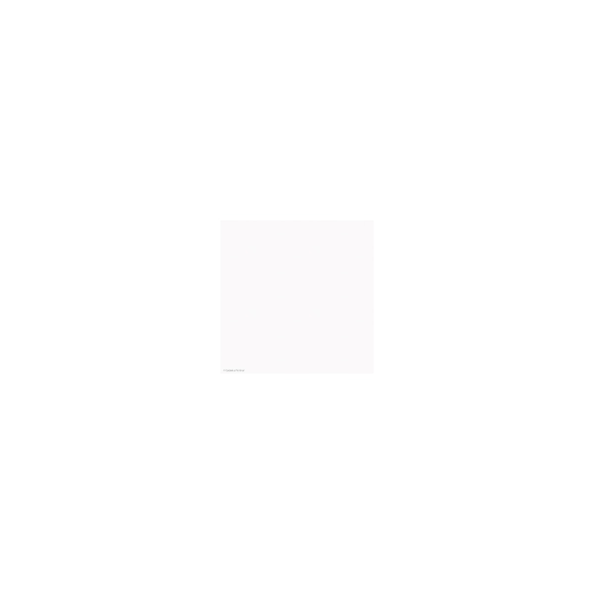 Porcelanato Bianco Act Retiificado Portinari Ret.60x60 Cx1,70 6055476 Tipo C