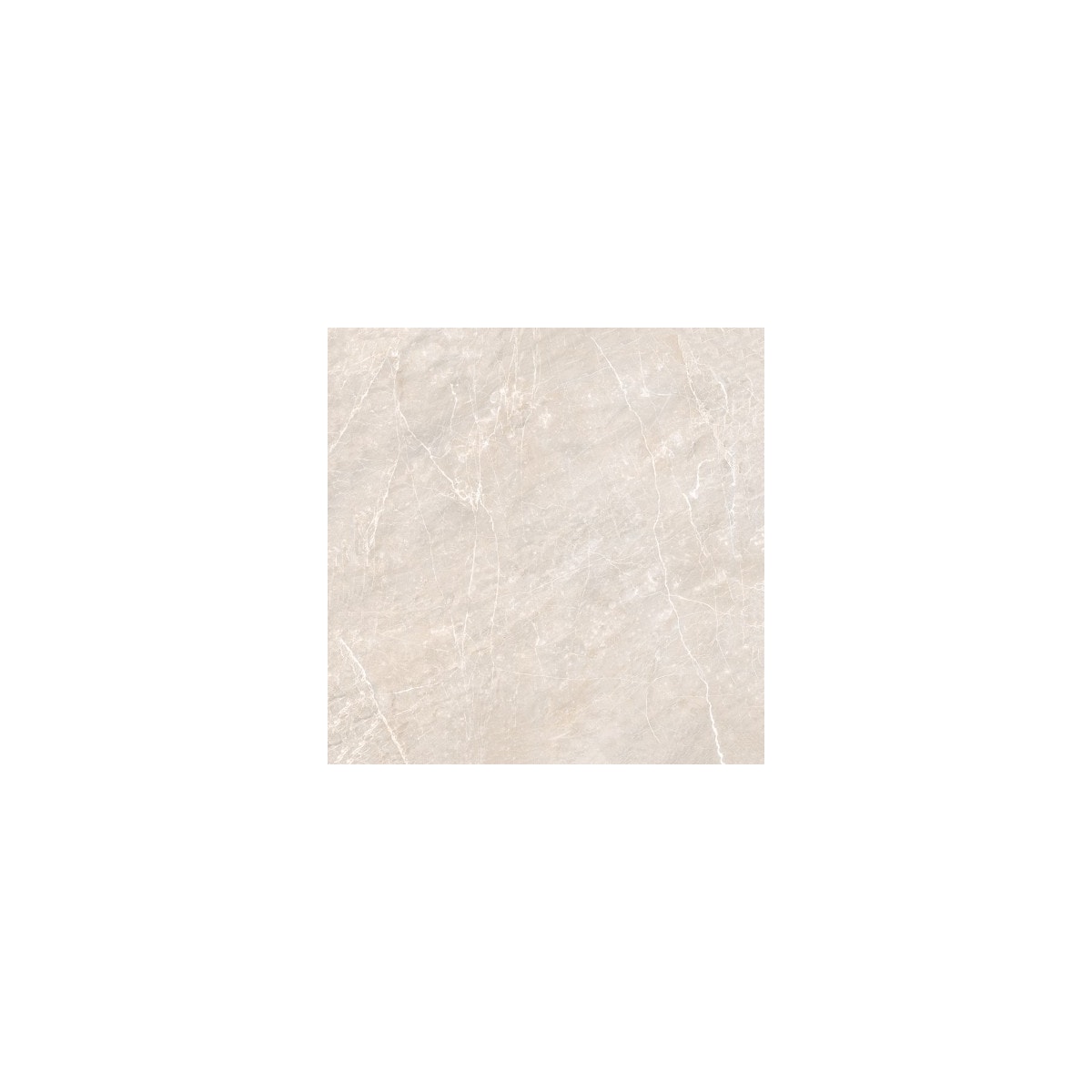 Schneider ZB4BW613 Testa per pulsante illuminato Fungo bianco 40mm push Schneider ZB4BW613 Testa per pulsante illuminato Fungo bianco 40mm push