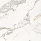 Porcelanato Macchia Vecchia Lux Polido Biancogres Fl Retificado 120x120 Cx2,88